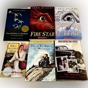 Fiction Book Lot of 6 Ice Fire Fire Star Chapter Like New Juvenile School